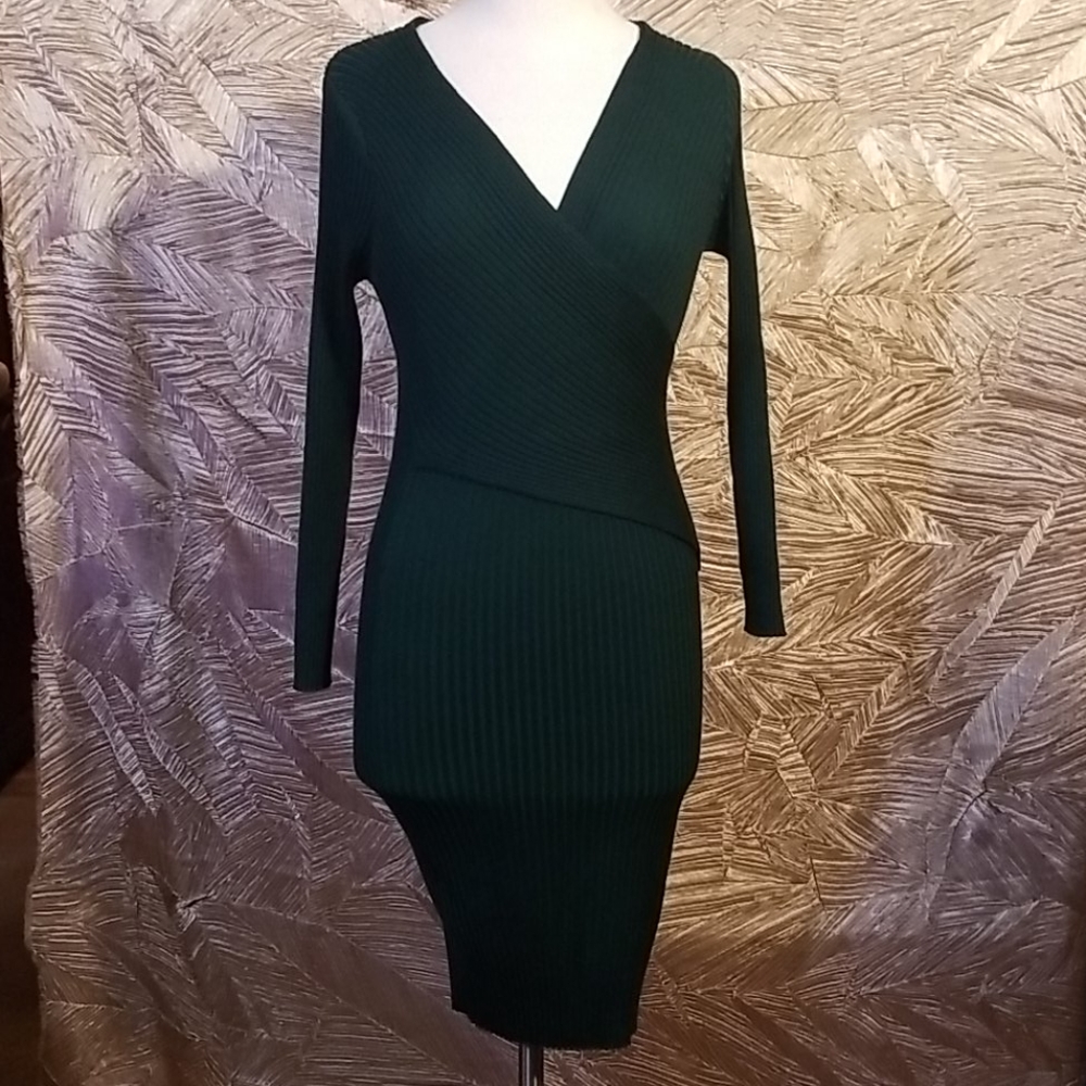 NWT Tam Ware Knit Dress